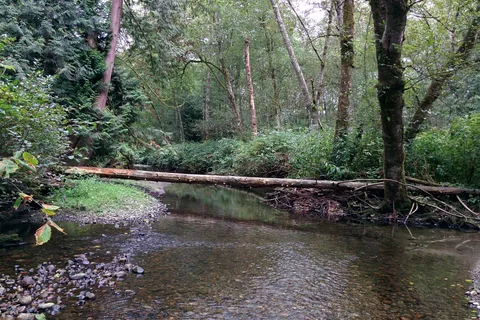 Tynehead RV Camp