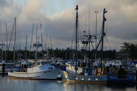 Bayside RV Park