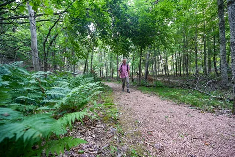 McMullen Memorial County Park