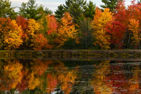McMullen Memorial County Park