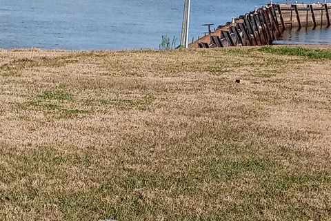Lakeview Marina and RV Park