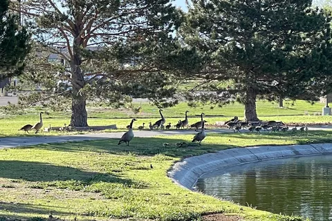 Cabelas RV Park
