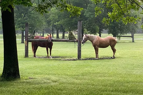 Brushy Creek State Recreation Area - North Equestrian