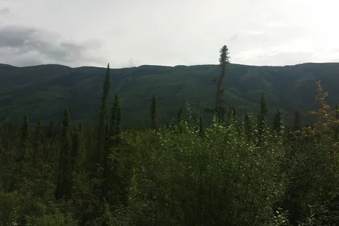 Dawson City RV Park and Campground