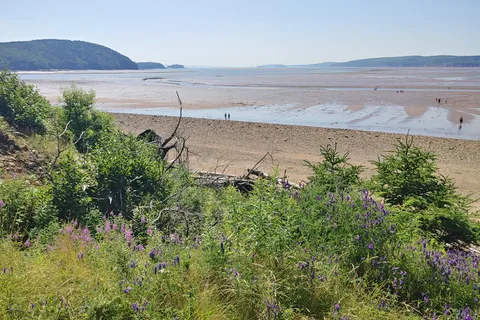 Five Islands Provincial Park