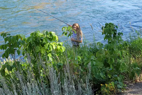 Deschutes River Fly Shop and Camp