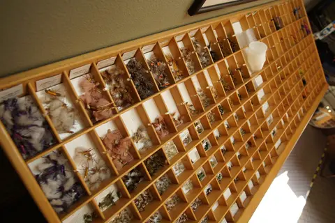Deschutes River Fly Shop and Camp