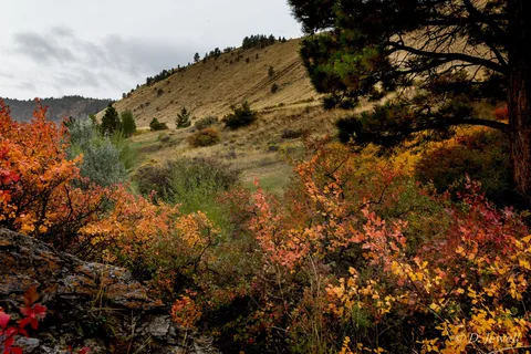 Black Sandy State Park