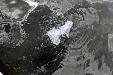 Black Sandy State Park