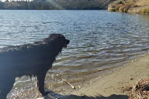 Black Sandy State Park