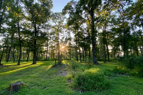 Sand Springs Campground