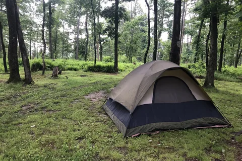 Sand Springs Campground