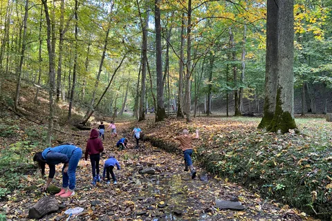 Deerassic Park Family Campground
