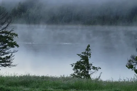 Roche Lake Provincial Park