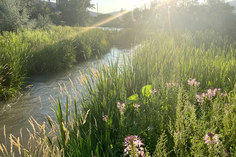 Sevier River RV Park, Cabins and Campground