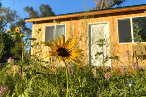Sevier River RV Park, Cabins and Campground