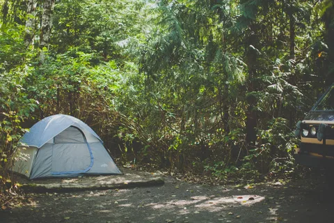 Surf Junction Campground