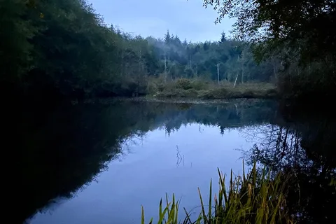 Surf Junction Campground