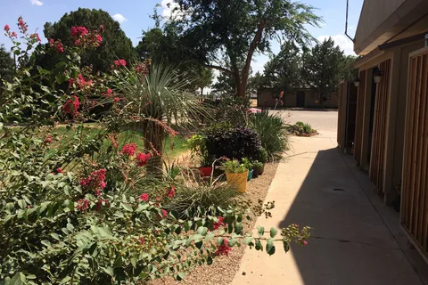 Lubbock KOA Journey