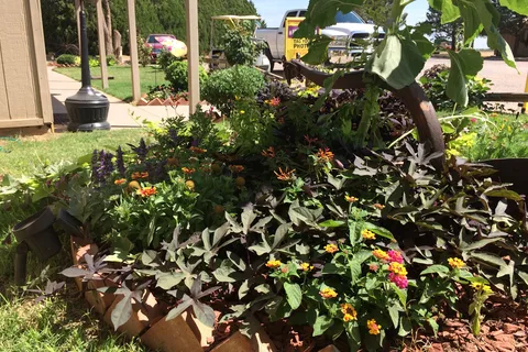 Lubbock KOA Journey