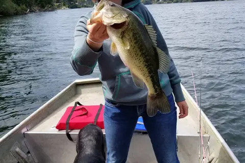 Mercer Lake Resort