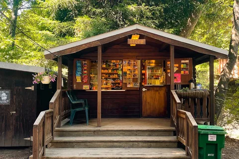 Big Sur Campgrounds and Cabins