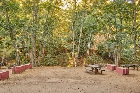 Big Sur Campgrounds and Cabins