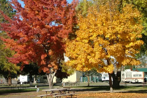 Ellensburg KOA Journey