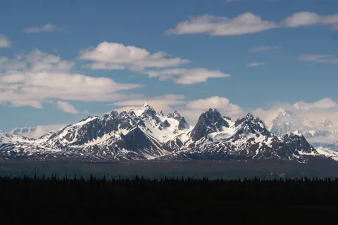 Denali View North Campground - Denali State Park