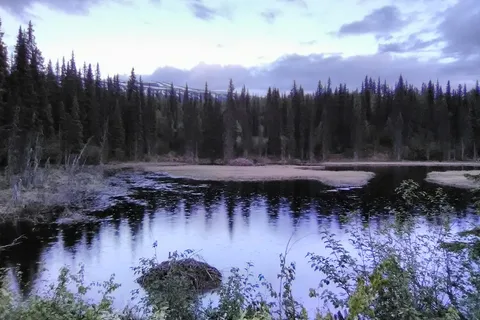Denali View North Campground - Denali State Park