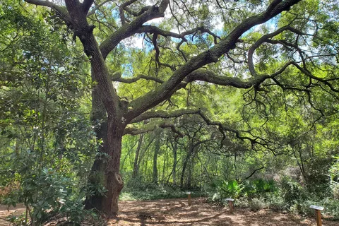 Lake Griffin State Park