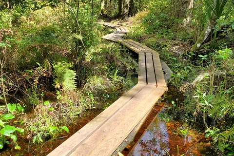 Lake Griffin State Park