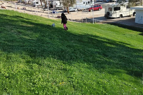 Don Laughlin's Riverside Resort RV Park