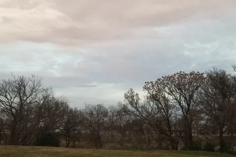 Cicada Springs RV Park