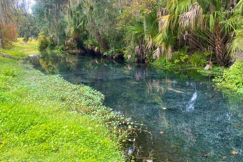 Wekiva Falls RV Resort