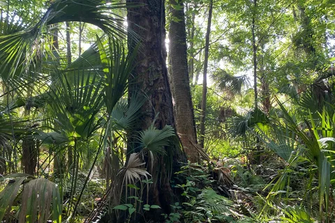 Wekiva Falls RV Resort