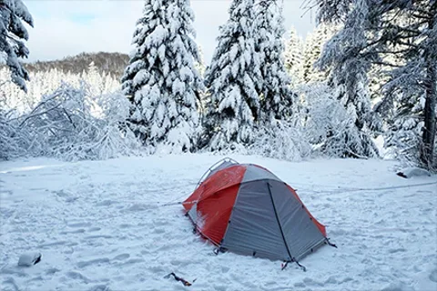 Camping Du Domaine Lausanne