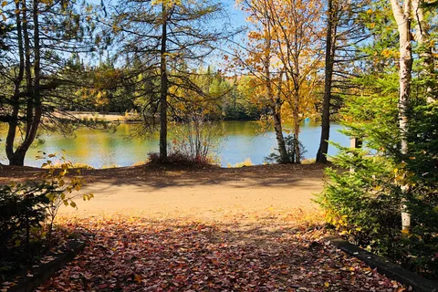 Camping Du Domaine Lausanne