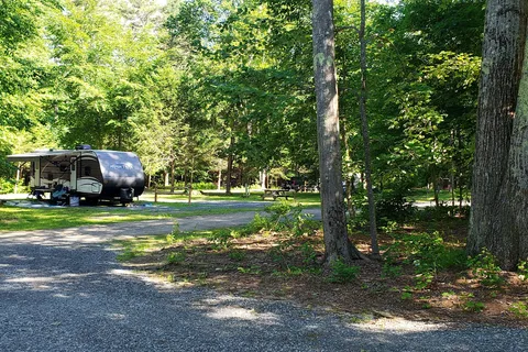Pinederosa Camping Area
