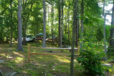Pinederosa Camping Area