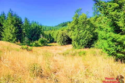 Dairy Creek West - L L Stub Stewart State Park