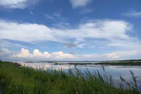 Long Point Provincial Park