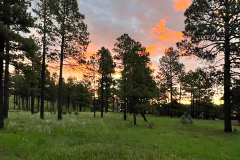 Elk Pines RV Resort