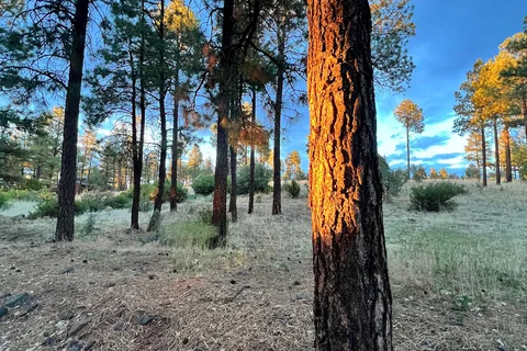 Elk Pines RV Resort