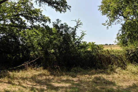 Peach Country RV Park