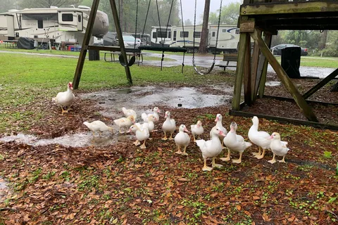 Lake Park RV Campground
