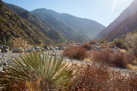 Bonita Ranch Campground