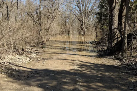 Camp Shore Campground