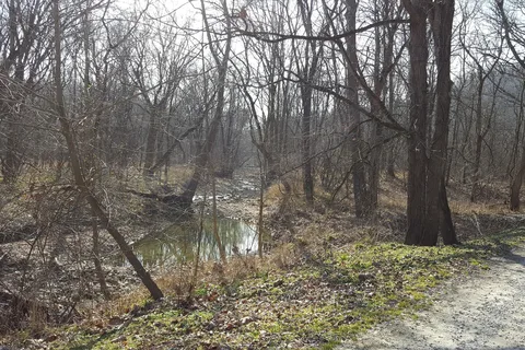 Camp Shore Campground