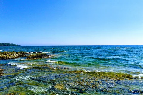 South Bay Resort and Campground